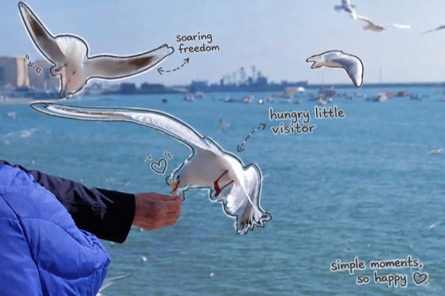 A seagull taking food from a hand above the sea, marked up with white-pen notes in English — a photo turned into art in the Hand-drawn notes style