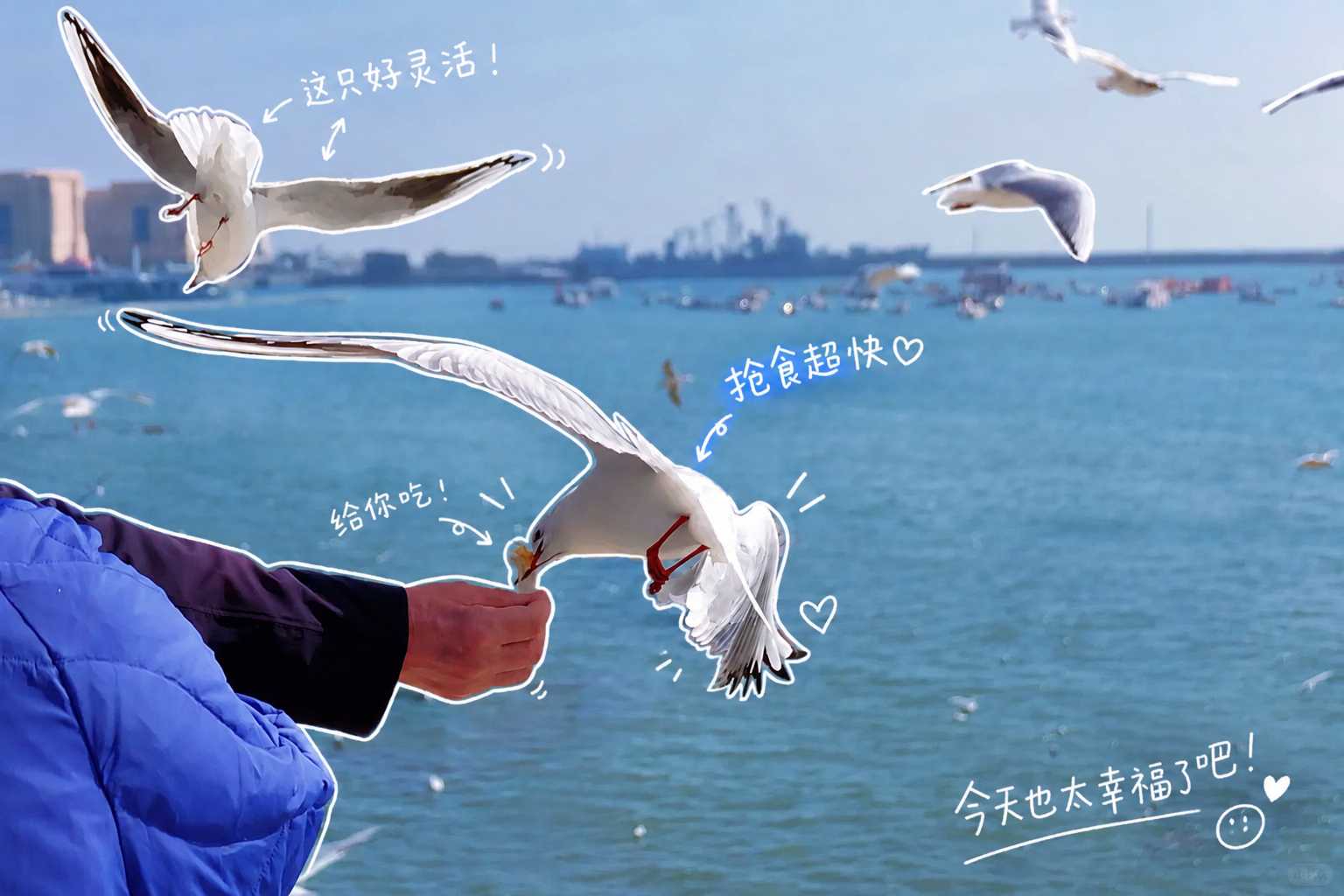 The same seagull moment, marked up with white-pen notes in Chinese — a photo turned into art in the Hand-drawn notes style
