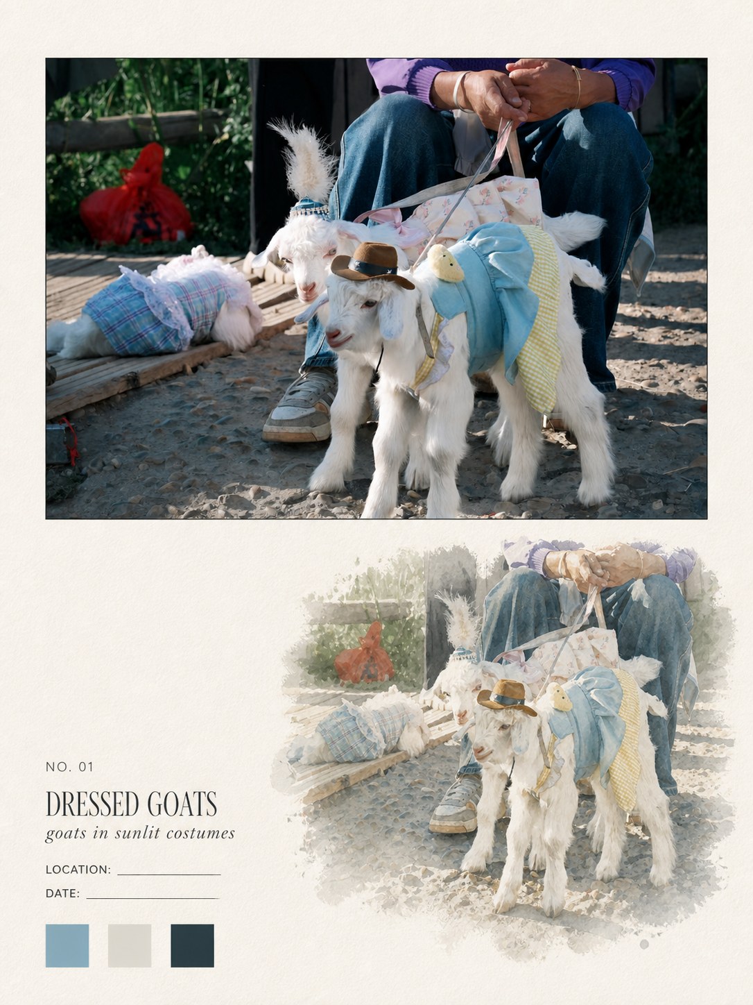 Goats in knitted costumes on a sunlit path, the same goats in watercolour below — a photo turned into art in the Watercolor field note style