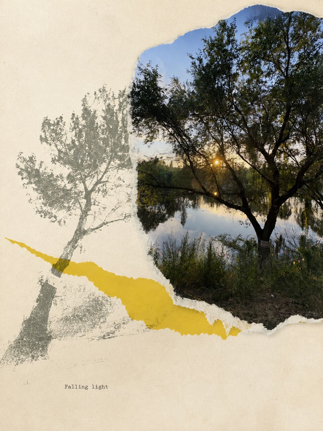 Willows over a river at sunset, torn into a zine page beside a yellow brush shape — a photo turned into art in the Gathered scenes zine style
